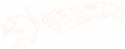 Bg-sh